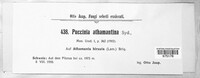 Puccinia athamanthina image